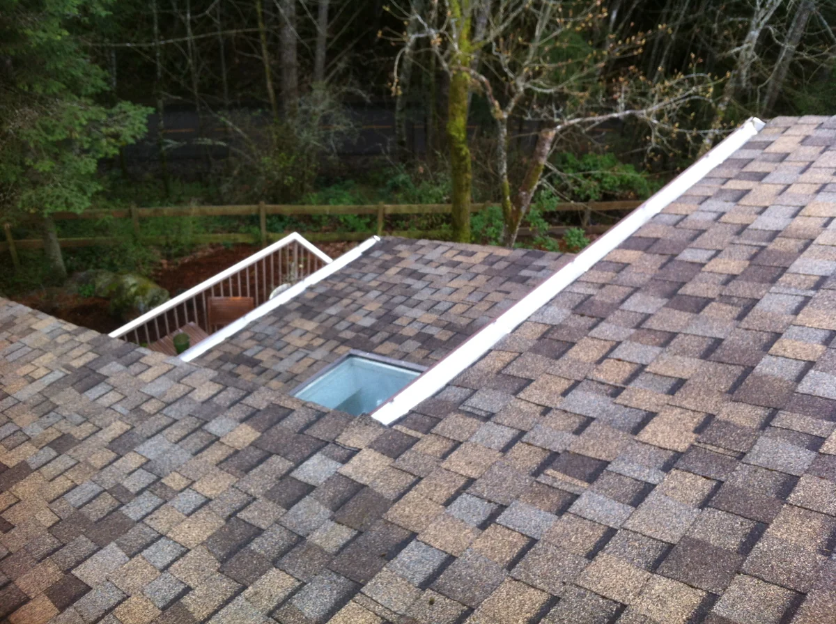 Shingle roof planes with a skylight